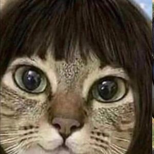 Meet your Posher, Pollah